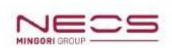 NECS Mingori Group